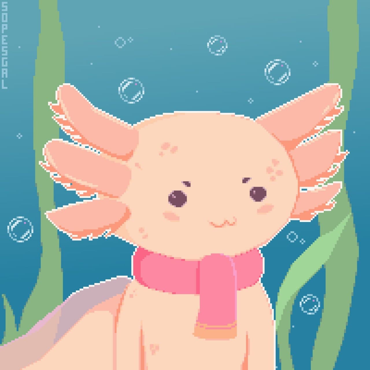 Cozy Axolotl